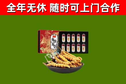 汇川回收冬虫夏草价格